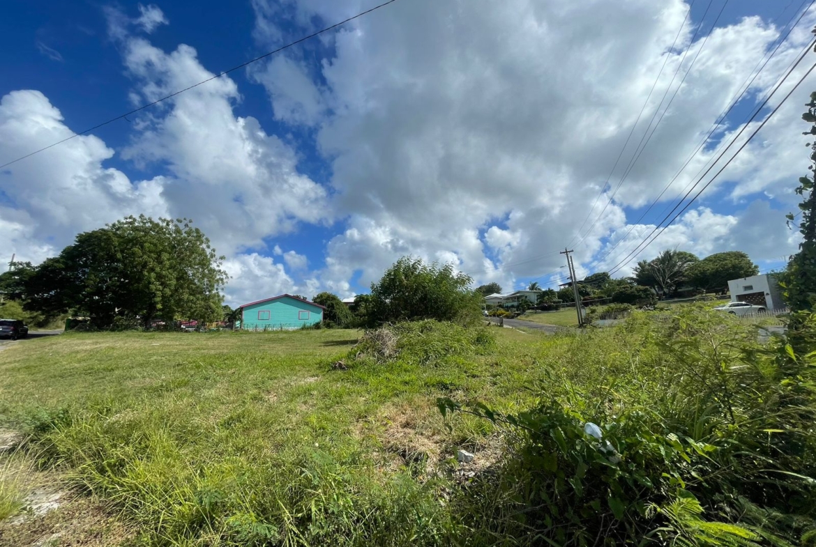 Investment land for sale in Gambles, Antigua