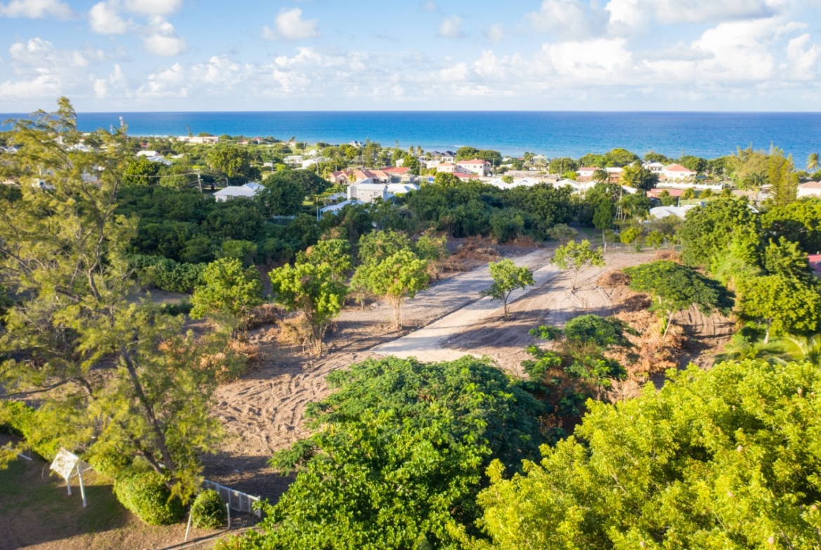 Contact JMVI Realty for Crosbies land sales