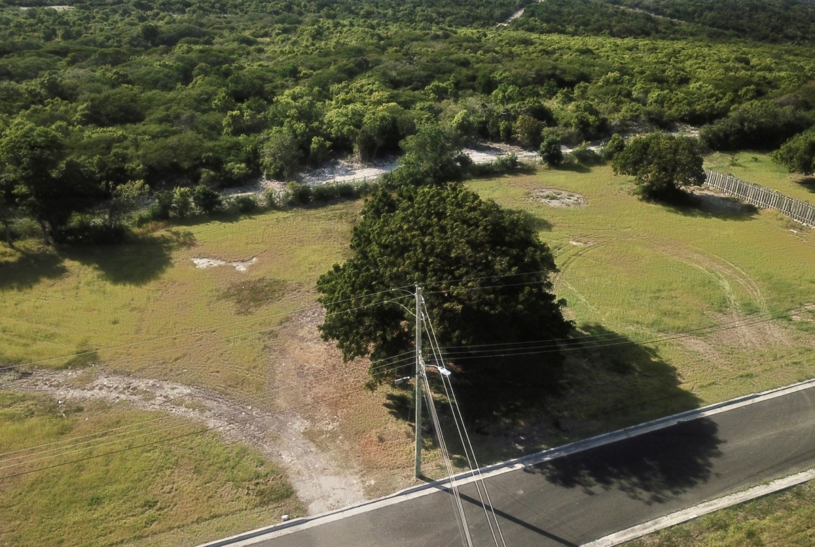 Premium land for sale immediate sale in Verandah Estates Gated Community in Antigua