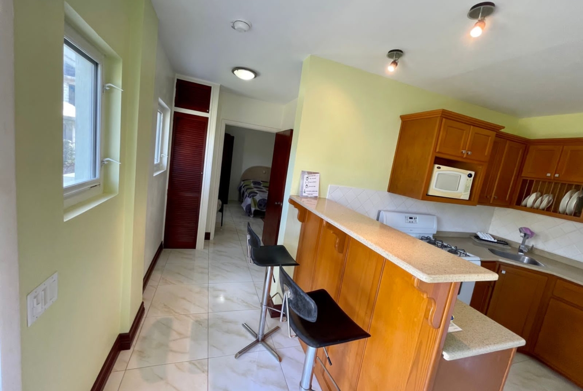 Apartment available for rent in Carlisle Bay