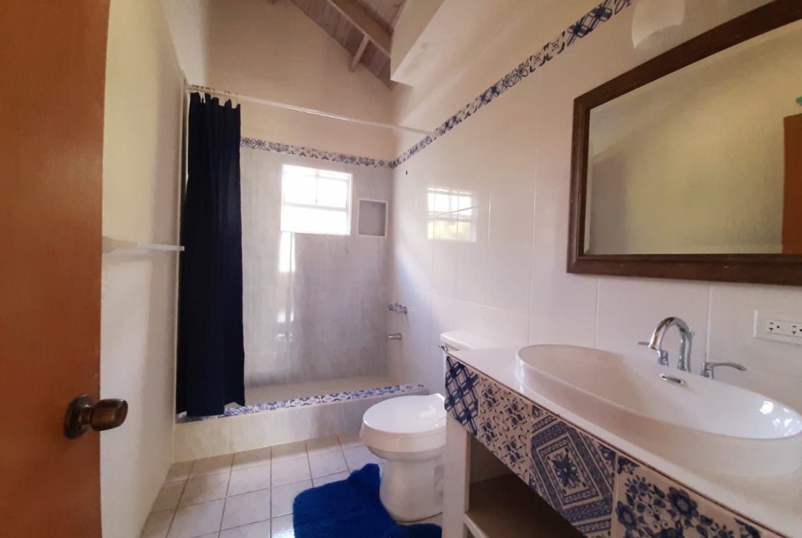 stylish fully furnished 1Br 1 Bath Apartment in Antigua