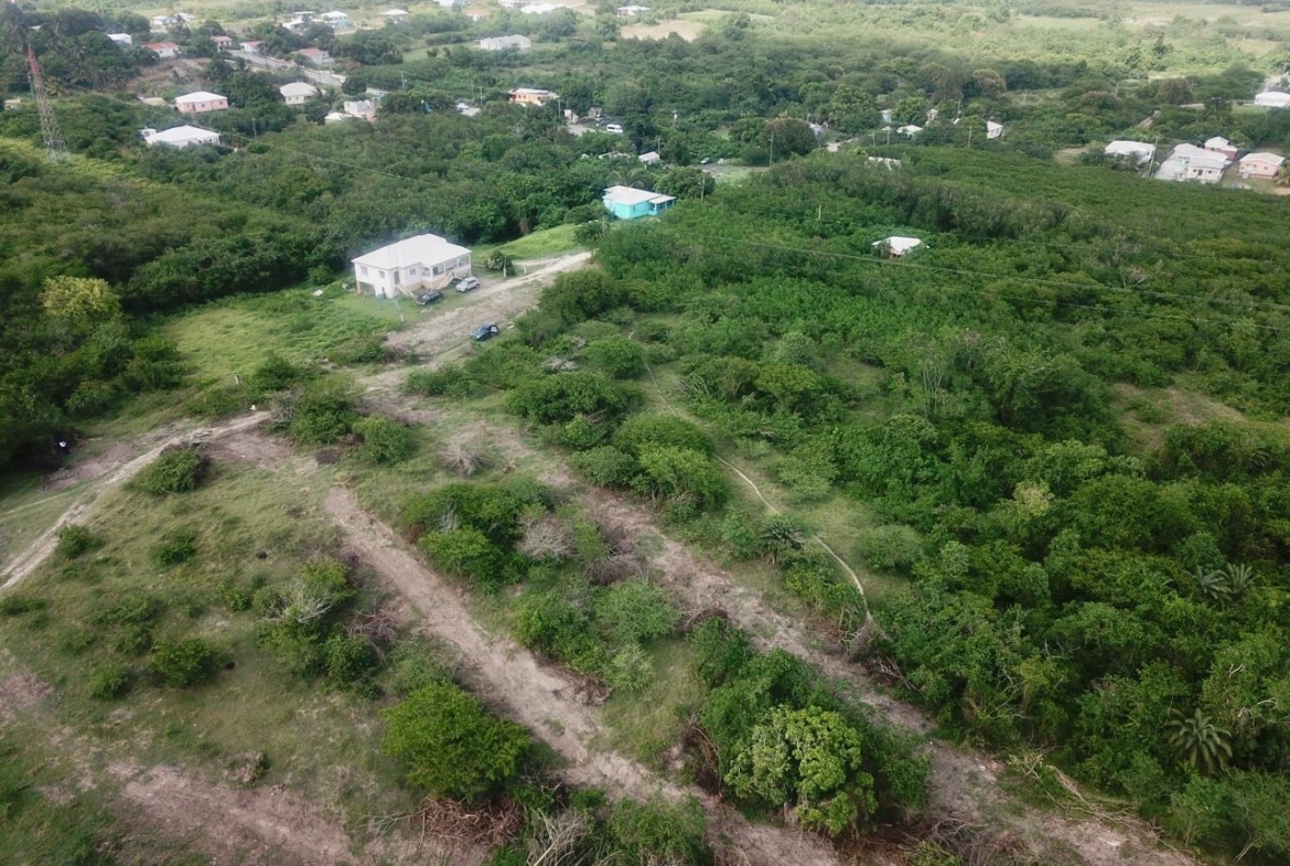 land in Tyrells, Antigua, available for just EC$385,500