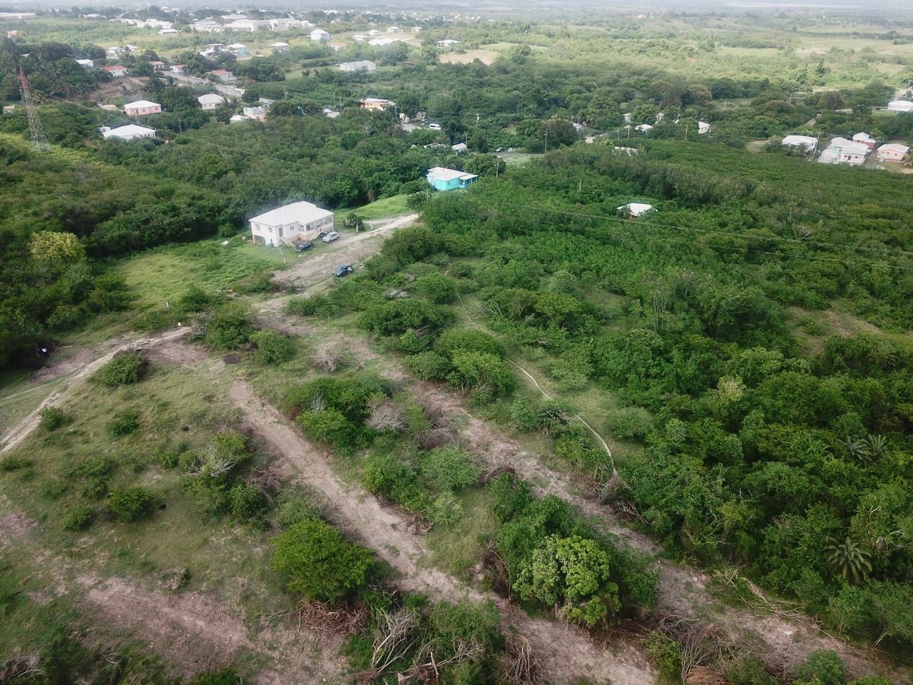 land in Tyrells, Antigua, available for just EC$385,500
