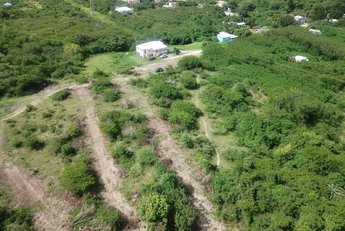 land in Sale Tyrells, Antigua, available for just EC$385,500