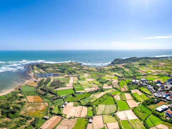 Be Smart: Invest in Land – Antigua Real Estate