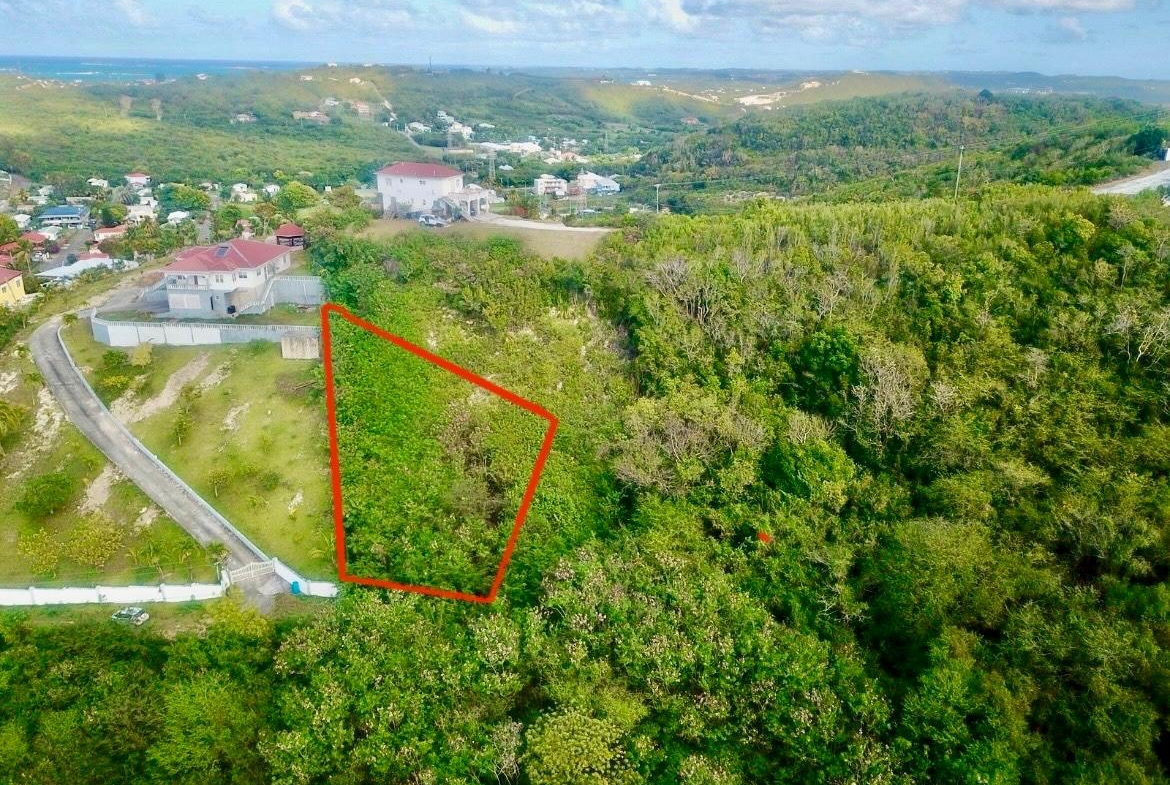 Cedar Valley Hillside Land