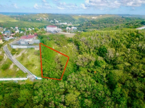 Cedar Valley Hillside Land