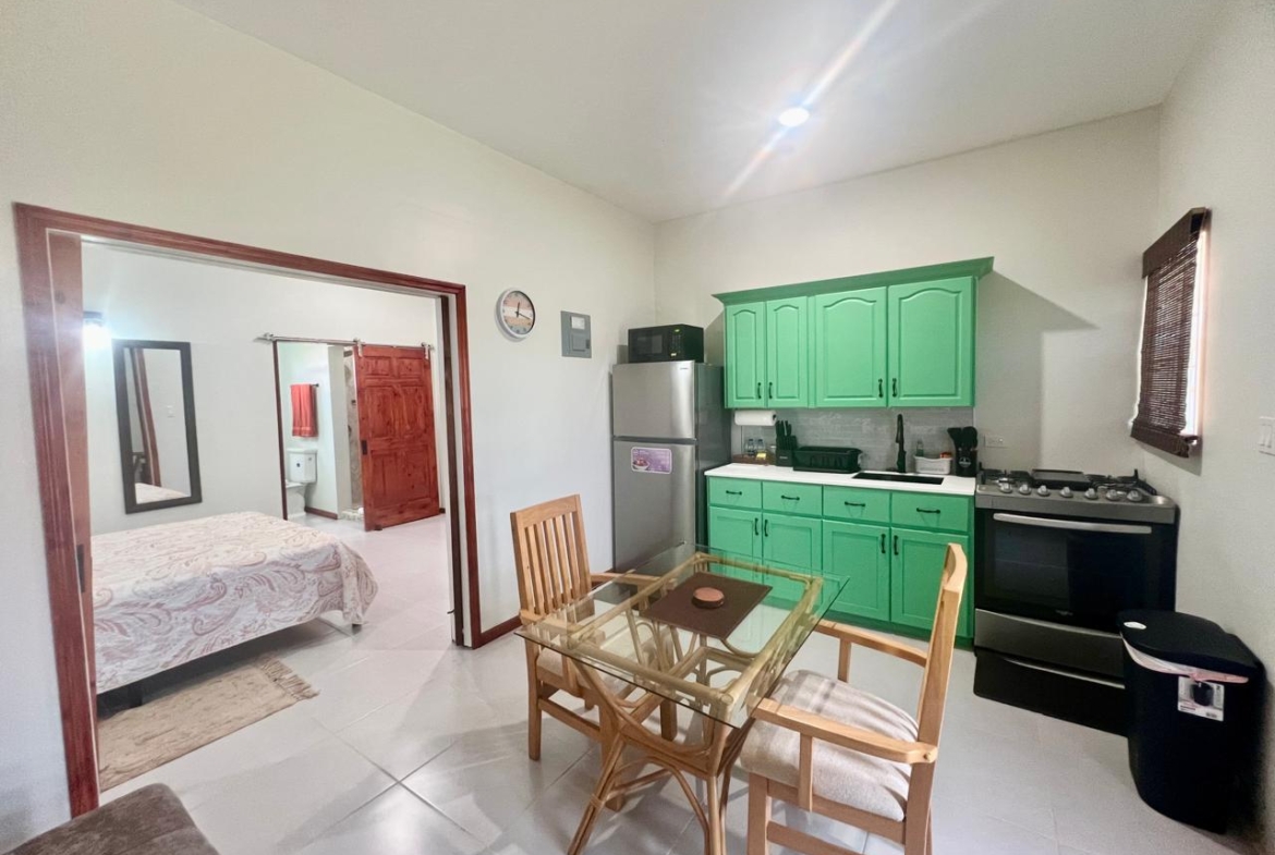 Neema's Suites 1Br house for Rent, Antigua - Living Room Full View