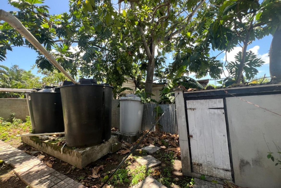 Outdoor for Gardening