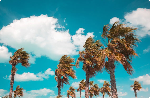 Caribbean Hurricane Season