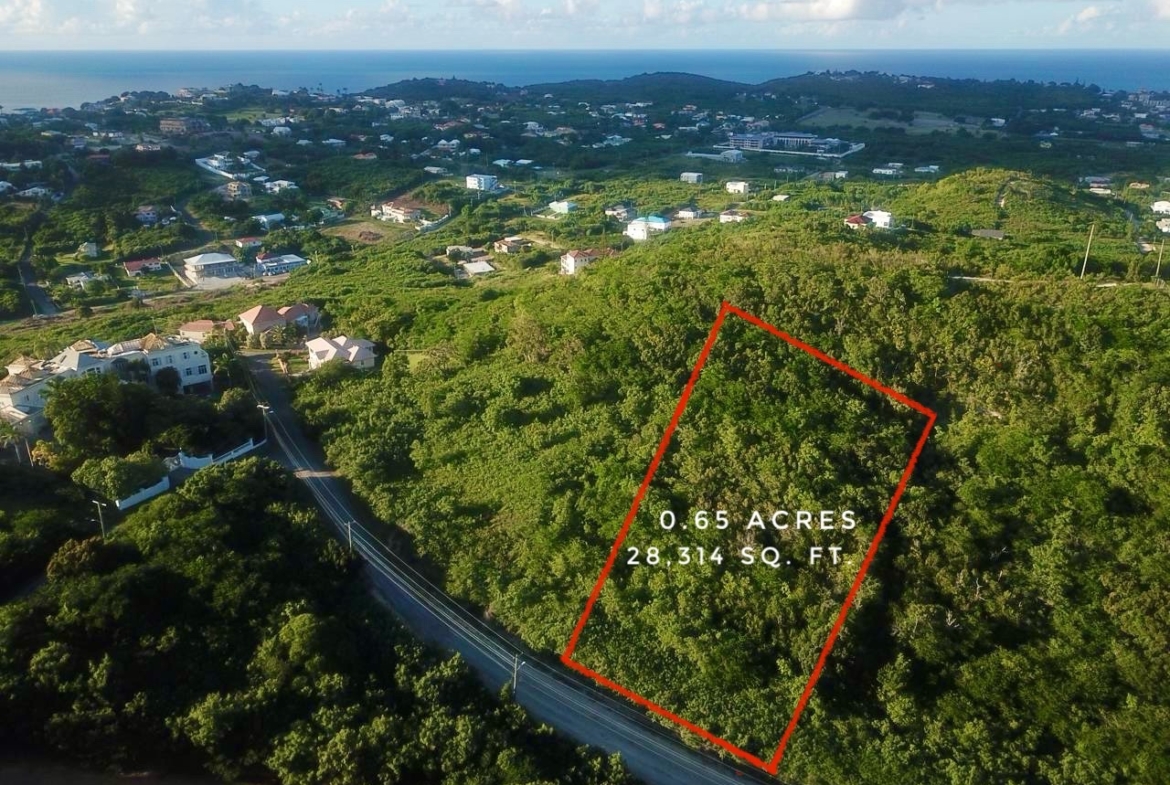 Land for sale in Antigua near Friar’s Hill Road