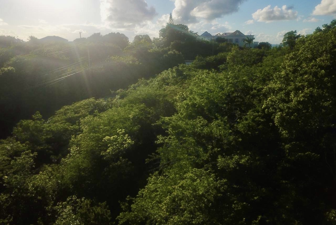 Land for sale in Antigua near Friar’s Hill Road on JMVI Realty