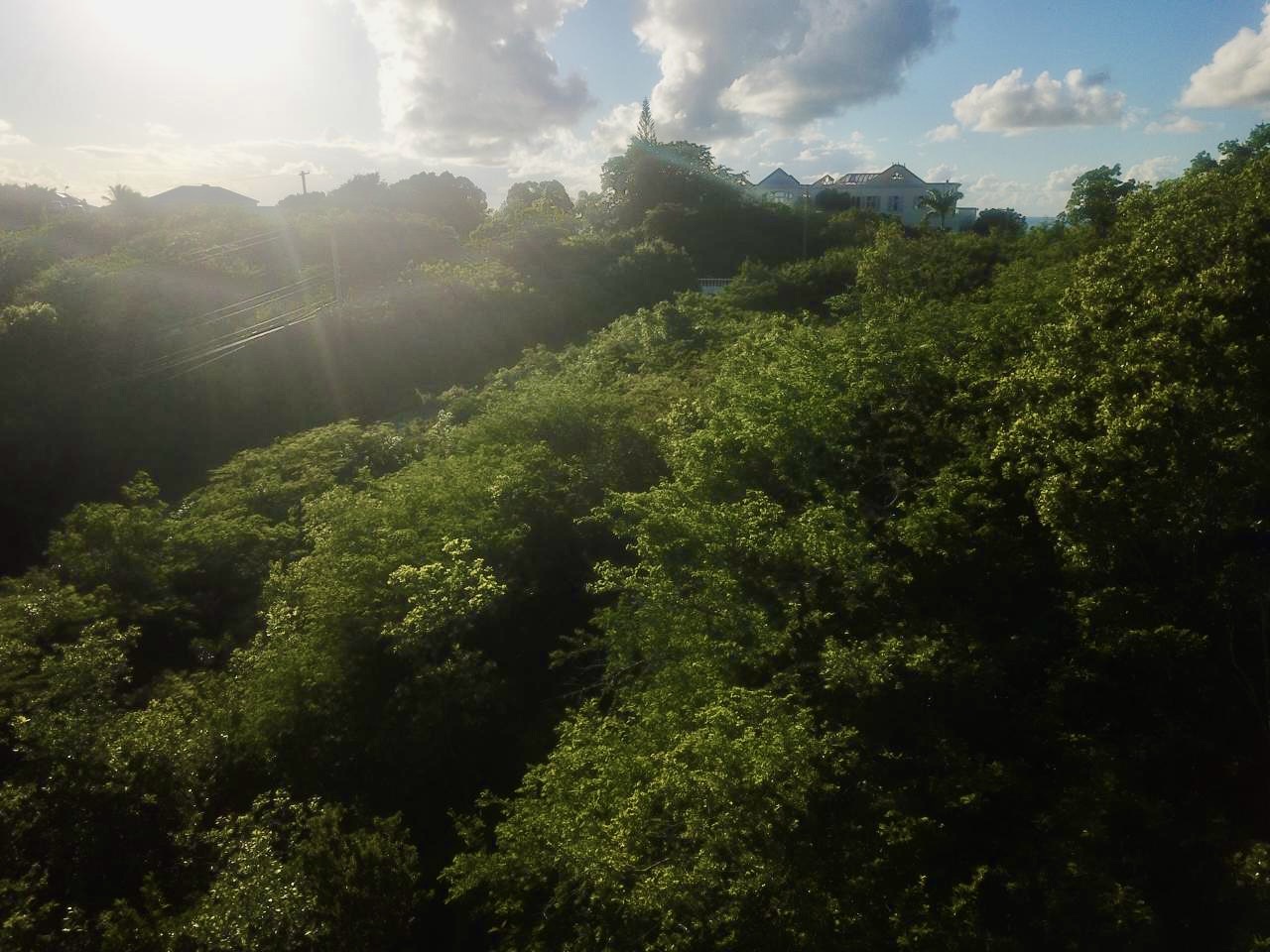 Land for sale in Antigua near Friar’s Hill Road on JMVI Realty