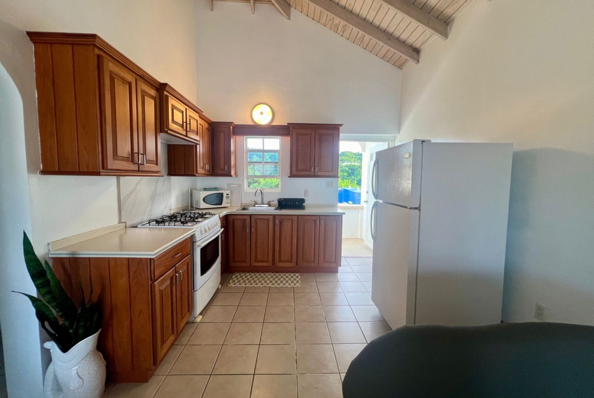 2BR home for rent in Antigua Kitchen