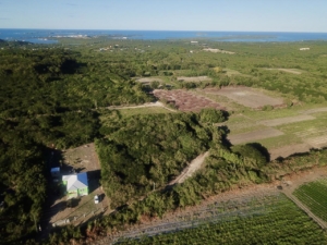 Land for sale in Gilberts Antigua