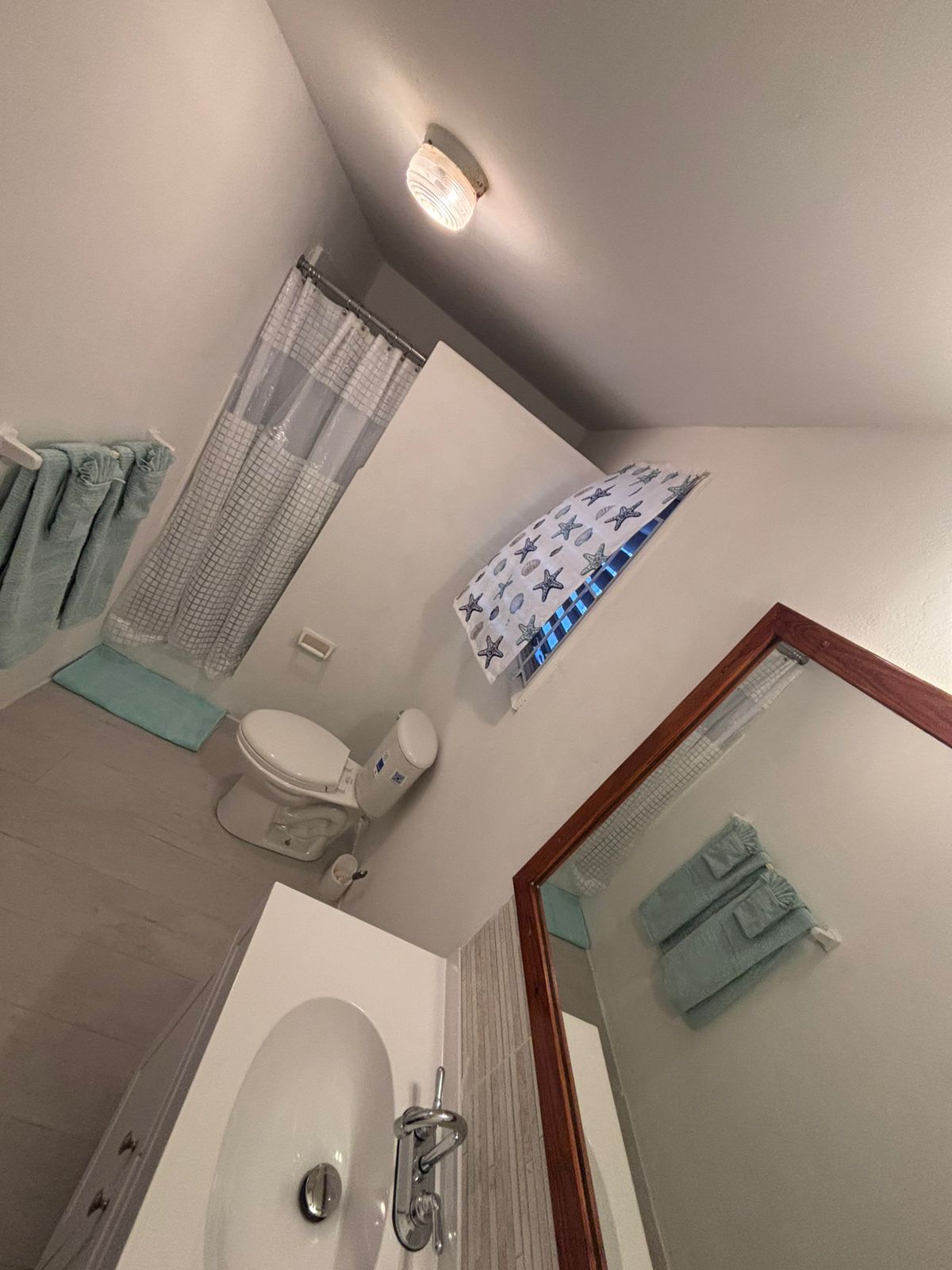 Beachfront apartment for rent in Antigua - Bathroom