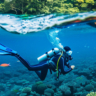 Snorkeling in Antigua