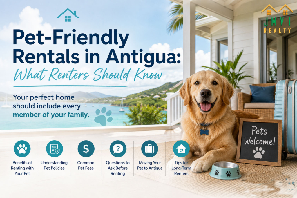 Pet-Friendly Rentals in Antigua: What Renters Should Know