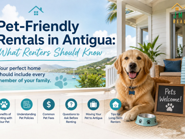 Pet-Friendly Rentals in Antigua: What Renters Should Know