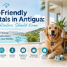 Pet-Friendly Rentals in Antigua: What Renters Should Know